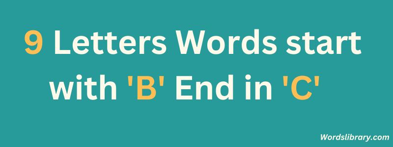 9 Letter Words that Start with B and End in C