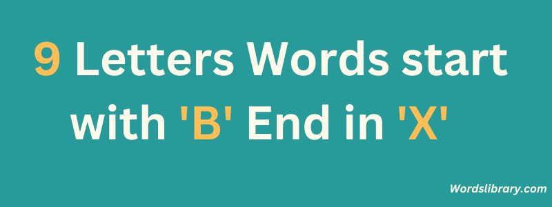 9 Letter Words that Start with B and End in X