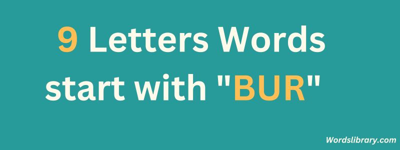 9 Letter Words that Start with BUR