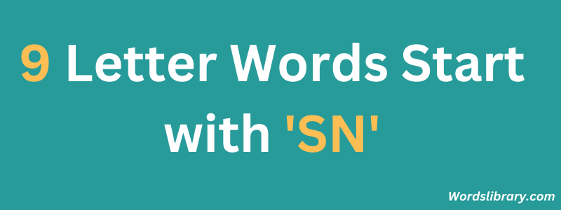 9 Letter Words Starting with ‘SN’