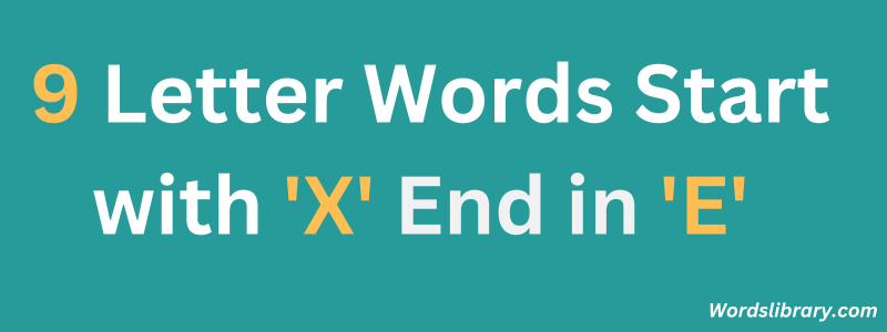 Nine Letter Words that Start with ‘X’ and End with ‘E’