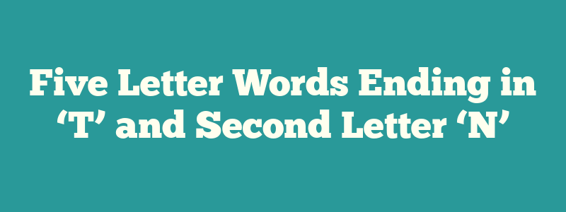 Five Letter Words Ending in ‘T’ and Second Letter ‘N’